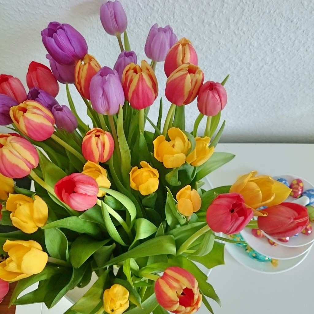 vrijdag_tulips