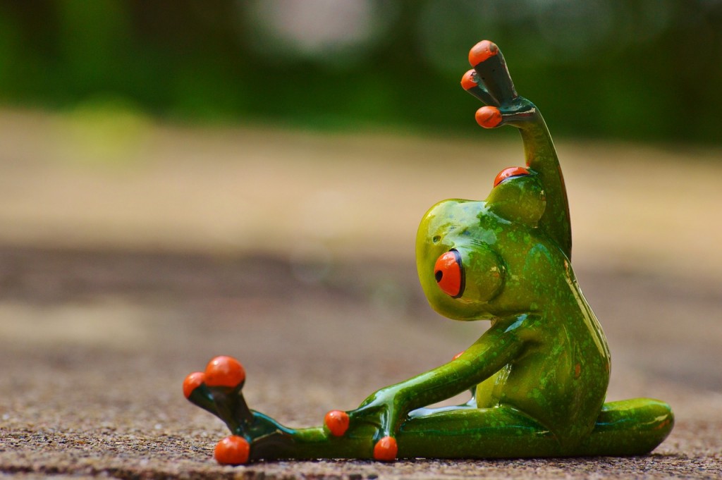 yoga frog